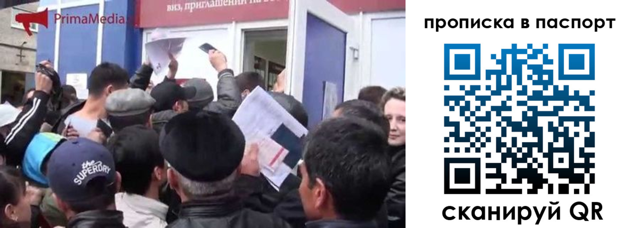 прописка гарантия в Вольске